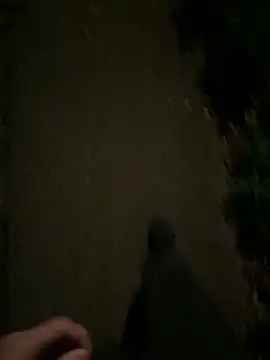 Snapshot of ncjuice_ chatting on 10-31-25, 10:00 ncjuice online show from 10-31-25, 10:00