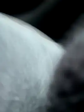 Snapshot of pleasedontpressaredburton chatting on 10-14-25, 02:29 pleasedontpressaredburton online show from 10-14-25, 02:29