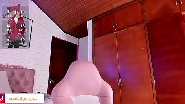 Snapshot of Scarlett_fox__ chatting on 11-08-25, 04:45 Scarlett fox online show from 11-08-25, 04:45