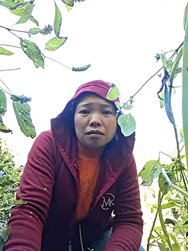 miomio-12 online show from 11-29-25, 03:09