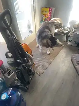 Snapshot of Jcaspen chatting on 03-09-26, 01:04 Jcaspen online show from 03-09-26, 01:04