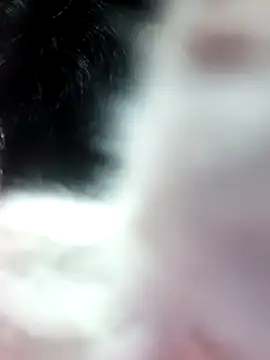 Snapshot of anjali2351 chatting on 02-10-26, 02:21 anjali2351 online show from 02-10-26, 02:21