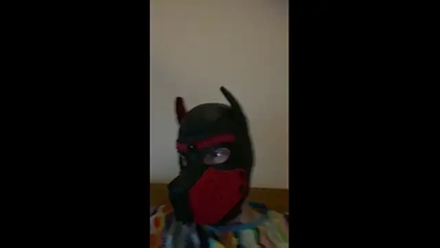 Snapshot of MolleDolle chatting on 03-01-26, 08:44 MolleDolle online show from 03-01-26, 08:44