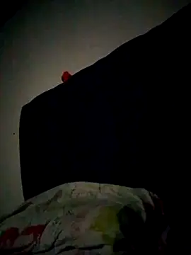 jordan bigcock  online show from 06-05-26, 02:51