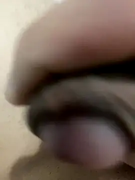 Snapshot of leiteiro2002 chatting on 12-14-25, 11:37 leiteiro2002 online show from 12-14-25, 11:37