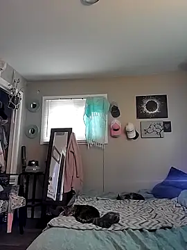 Cassaroll333 online show from 11-20-25, 04:51