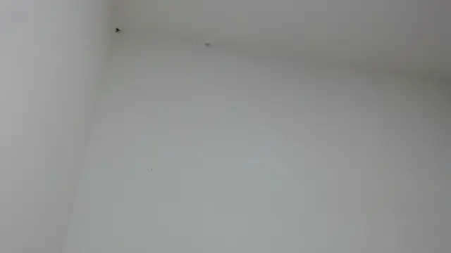 Snapshot of drako_monster chatting on 01-31-26, 09:46 drako monster online show from 01-31-26, 09:46