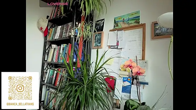 Snapshot of bianca_bellamy chatting on 06-09-26, 07:42 bianca bellamy online show from 06-09-26, 07:42