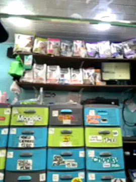 Lucy 699 online show from 11-16-25, 07:41