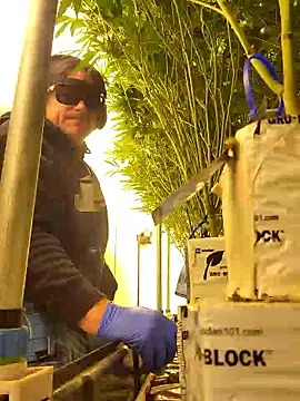 Snapshot of Akdecline chatting on 01-08-26, 06:21 Akdecline online show from 01-08-26, 06:21