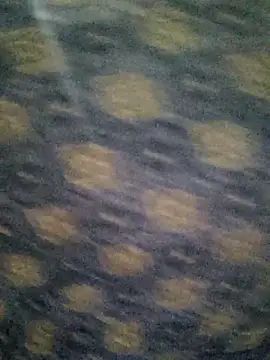 Tanha18 online show from 12-05-25, 06:59