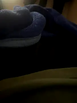 Snapshot of Satish_vs1234 chatting on 11-22-25, 04:44 Satish vs1234 online show from 11-22-25, 04:44