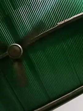 Snapshot of Jessica-03 chatting on 03-13-26, 05:30 Jessica-03 online show from 03-13-26, 05:30