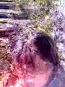 siusiu-00 online show from 01-18-26, 05:00