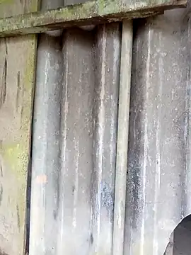 siusiu-00 online show from 02-25-26, 10:14