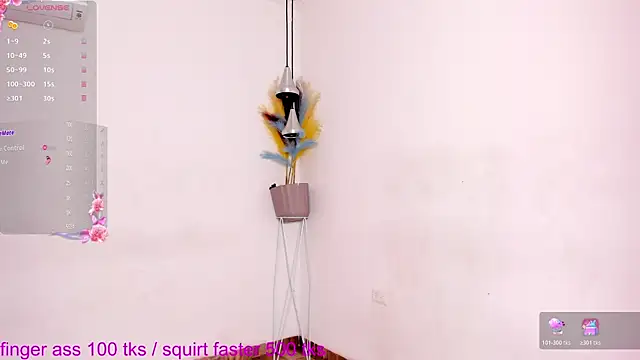 SSWEETSIINNN online show from 07-26-26, 11:44