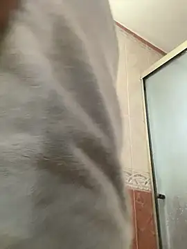 La-Gatiita-trans online show from 06-09-26, 11:16