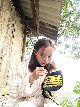 Nguyet2k4 online show from 12-16-25, 01:54