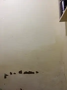 Snapshot of yoryy07 chatting on 03-14-26, 02:00 yoryy07 online show from 03-14-26, 02:00