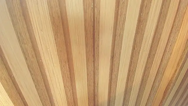 Snapshot of mia__blaze__ chatting on 12-22-25, 03:03 mia blaze online show from 12-22-25, 03:03