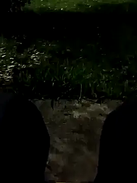 Snapshot of roludao_fun chatting on 11-11-25, 10:54 roludao fun online show from 11-11-25, 10:54