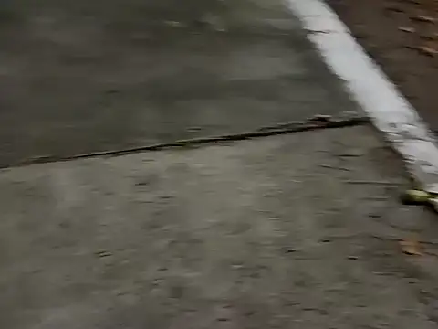 Snapshot of roludao_fun chatting on 12-04-25, 10:07 roludao fun online show from 12-04-25, 10:07