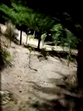 Labellasex online show from 12-18-25, 04:40