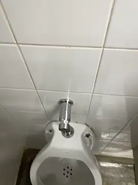 novinhosglbi online show from 11-04-25, 12:21