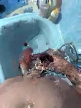 Miguelitros online show from 04-27-26, 04:27