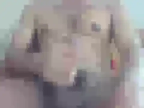 nick2445 online show from 04-18-26, 09:24