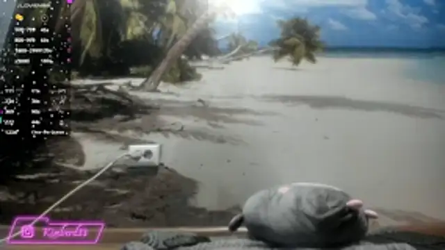 Snapshot of kimberd33 chatting on 02-26-26, 03:11 kimberd33 online show from 02-26-26, 03:11