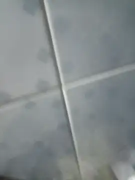 Snapshot of INTIMACY123 chatting on 11-03-25, 02:57 INTIMACY123 online show from 11-03-25, 02:57