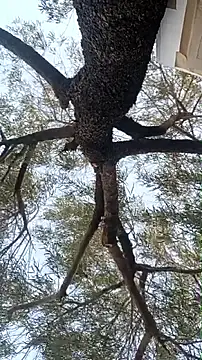 alphacloudGod online show from 04-21-26, 01:42