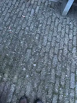 Snapshot of bart98geil chatting on 02-14-26, 06:54 bart98geil online show from 02-14-26, 06:54