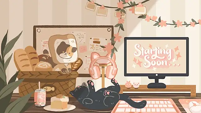 Snapshot of geekycastillo chatting on 01-17-26, 03:22 geekycastillo online show from 01-17-26, 03:22