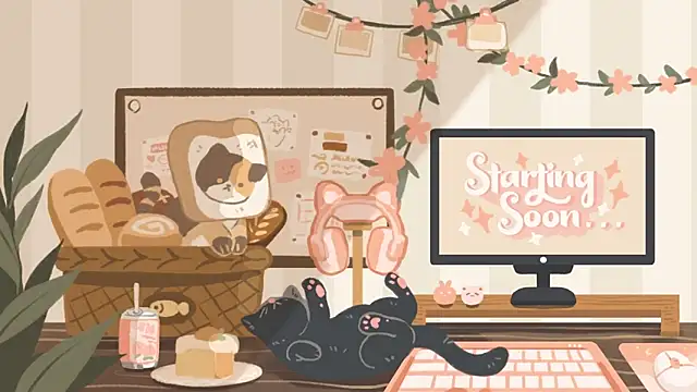 Snapshot of geekycastillo chatting on 03-13-26, 02:51 geekycastillo online show from 03-13-26, 02:51