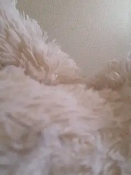 Bruninhadeusa online show from 12-19-25, 10:33