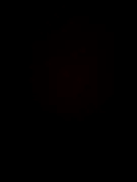 Chripish online show from 11-04-25, 02:27