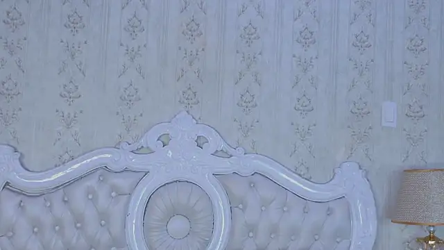 Kelly Swift online show from 04-24-26, 03:20