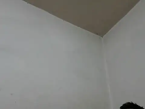 GordoChancludoSLP online show from 11-25-25, 04:45