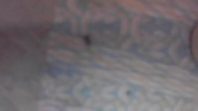 Snapshot of eppkswingcouple69 chatting on 03-22-26, 03:10 eppkswingcouple69 online show from 03-22-26, 03:10