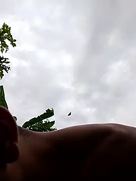 Snapshot of Alex_Sweeting chatting on 01-12-26, 08:47 Alex Sweeting online show from 01-12-26, 08:47