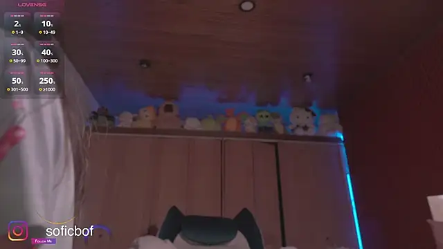 Snapshot of sofi_sc chatting on 11-09-25, 02:26 sofi sc online show from 11-09-25, 02:26