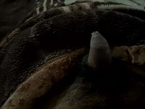 Snapshot of Riu92 chatting on 01-08-26, 09:33 Riu92 online show from 01-08-26, 09:33