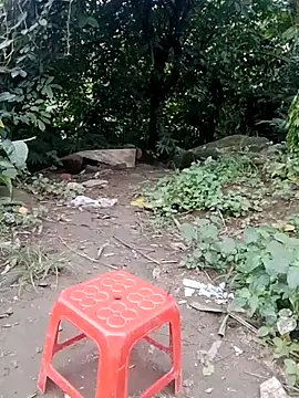 doggy-00 online show from 07-24-26, 11:30