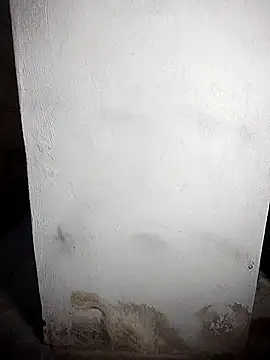 Snapshot of BD_228 chatting on 02-19-26, 12:06 BD 228 online show from 02-19-26, 12:06