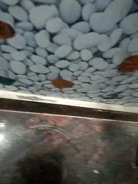 Snapshot of Pandey0012 chatting on 03-12-26, 11:49 Pandey0012 online show from 03-12-26, 11:49