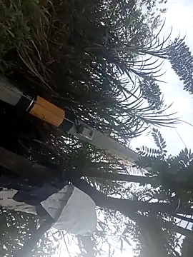 Camila-Valverde online show from 01-31-26, 08:51