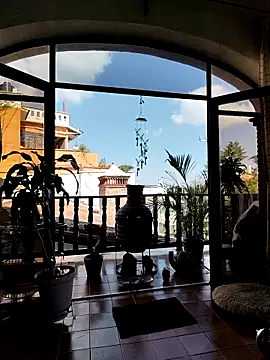 ACD0826 online show from 11-19-25, 07:36