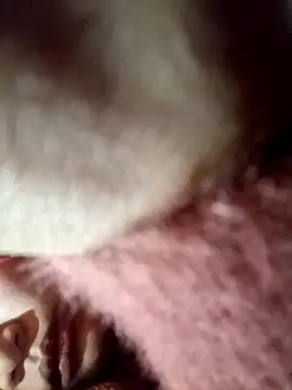 yoyo-mi online show from 01-09-26, 10:18